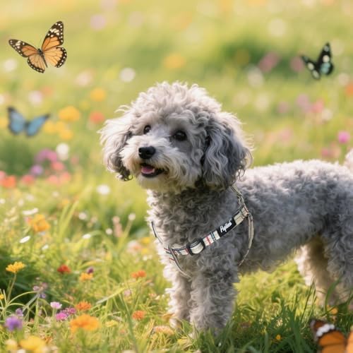 PUPTECK No Pull Dog Harness Small Sized Step-in Adjustable Puppy Vest - Image 5