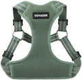 Voyager Step-in Flex Adjustable Dog Harness by BestPetSuppliesLLC