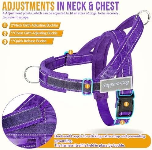 Lukovee No Pull Dog Harness and Leash Set, Soft Padded - Image 3