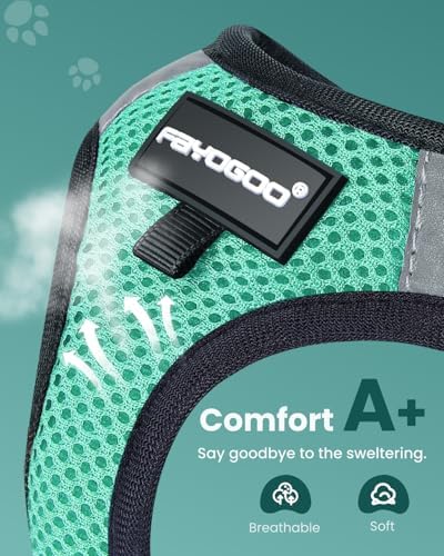 FAYOGOO Cat Harness & Leash Set, Escape Proof - Image 2