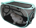 Kitty City Outdoor Catio Furniture and Play Kits by KittyCity