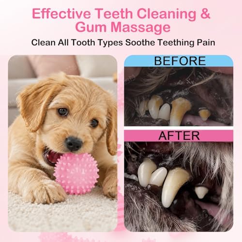 Puppy Toys, 6 Pack Dog Chew Toys, Teething Toys - Image 4