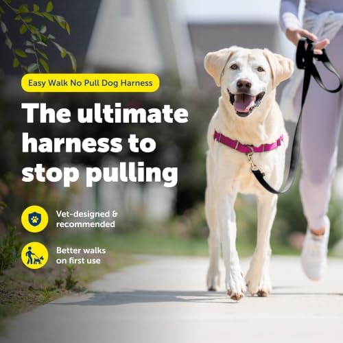 PetSafe Easy Walk Harness, No Pull Dog Harness - Image 3