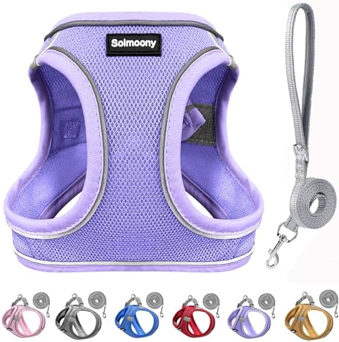 Solmoony Sparkly XS Dog Harness and Leash Set, Step in Soft Light Puppy Vest by SOLMOONY