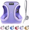 Solmoony Sparkly Medium Dog Harness and Leash Set, Step in Soft Light Puppy Vest by SOLMOONY