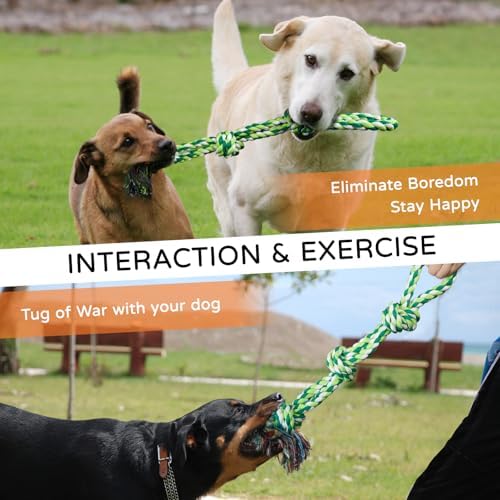 TLAZZ 2 Pack Chew Toys, for Aggressive Chewers - Image 6