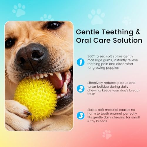 2.5" Squeaky Spiky Dog Balls, 6 Pack Teething Chew Toys - Image 3
