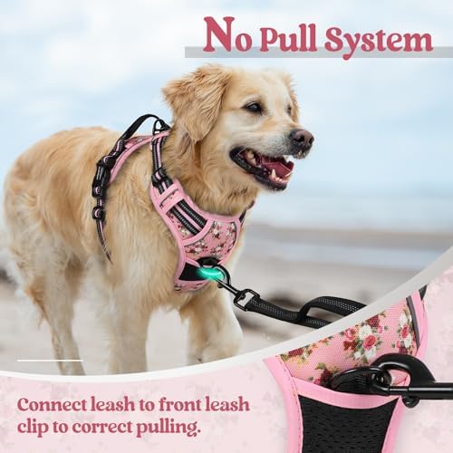 rabbitgoo Dog Harness, No Pull for Large Dogs - Image 5
