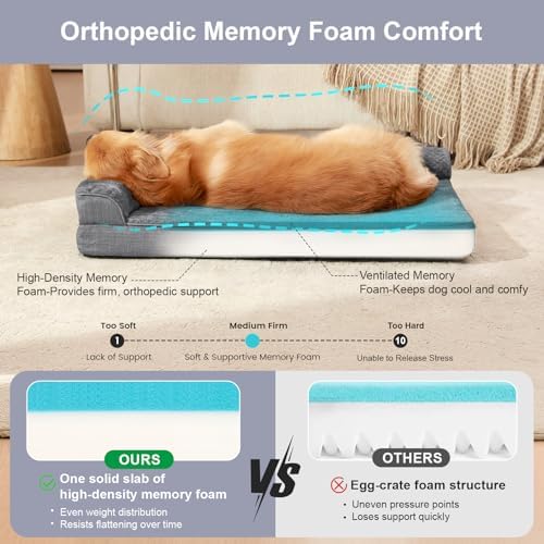 Rainmr Dog Beds for Small Dogs - Image 5