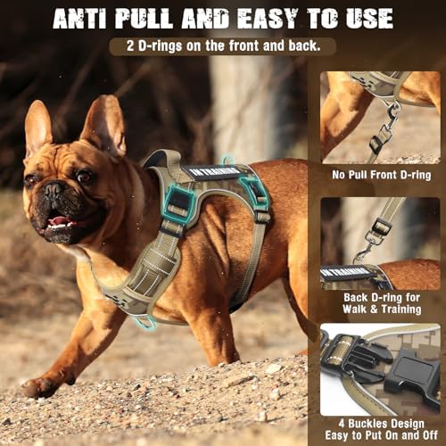 Tactical Service Dog Vest and Leash Set - Image 2