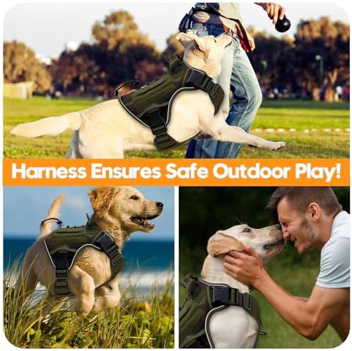 Heavy-Duty Tactical Dog Harness - Image 6
