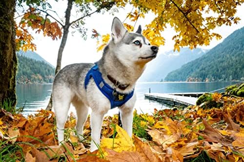 EcoBark Step in Mesh Dog Harness, Reflective Soft Vest, Royal Blue - Image 4