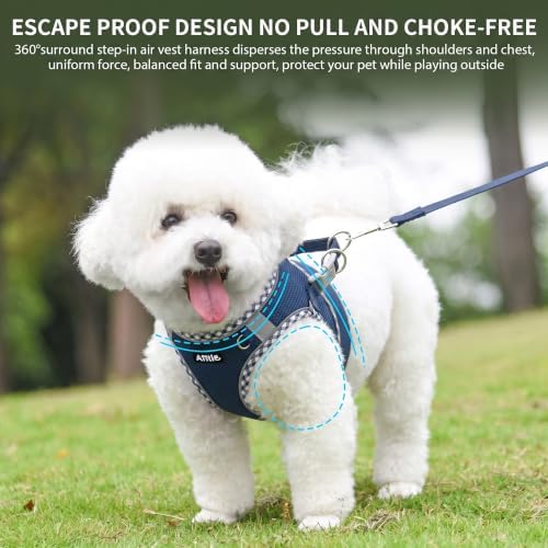 AIITLE Small Dog Harness and Leash Set Strong Magic Tape - Image 6