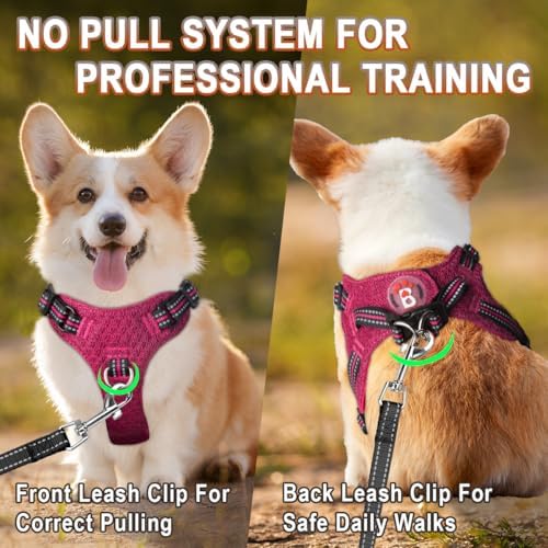 BARKBAY Small Dog Harness, No Pull Puppy Harness, Step-in Dog Vest - Image 5