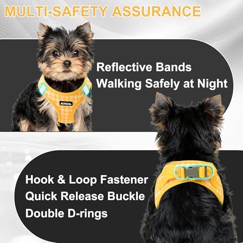 AIITLE Step in Medium Dog Harness and Leash Set, Puppy Pet Vest - Image 2
