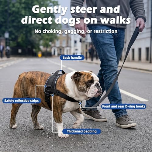 No Pull Dog Harness, Upgraded Padded No-Choke Pet Vest - Image 3
