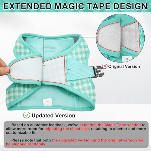 AIITLE Step in Medium Dog Harness and Leash Set, Pet Vest, Turquoise L - Image 2