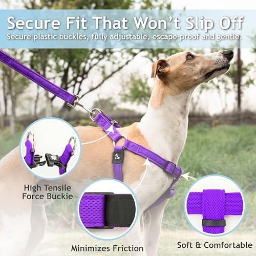 Kruz No Pull Dog Harness Heavy-Duty Pet Harness - Image 3