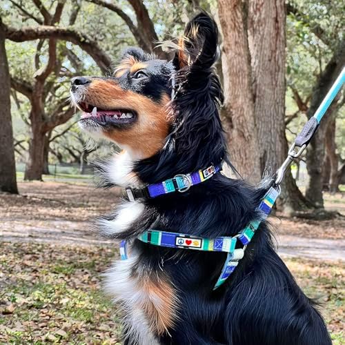 Pawtitas Multicolor Step-in Dog Harness – Adjustable No-Pull Vest - Image 2