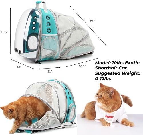 Lollimeow Expandable Bubble Cat Carrier Backpack, Supports up to 14 lbs - Image 2