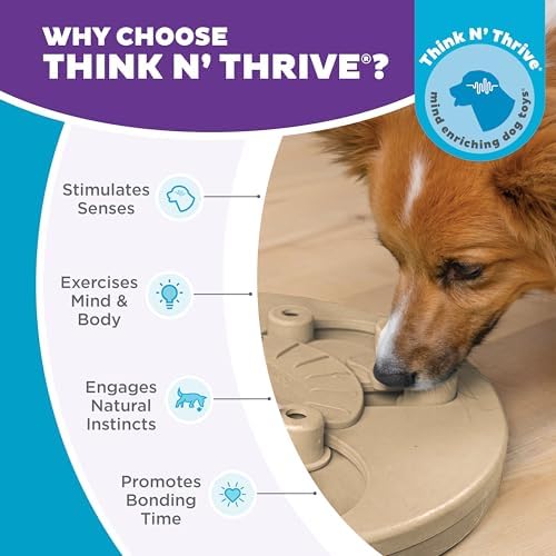 Outward Hound by Nina Ottosson Dog Worker Treat Puzzle Enrichment Toy, Level 3 - Image 6