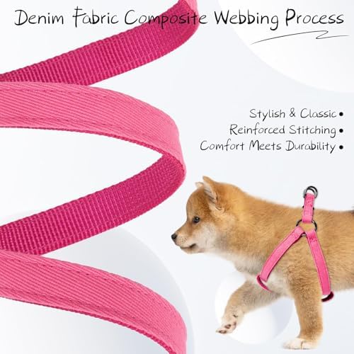BINGPET No Pull Dog Harness and Leash Set, Adjustable Step-in Vest - Image 5