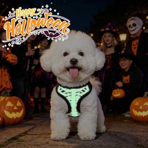 KOOLTAIL Halloween Dog Harness and Leash Set - Image 3