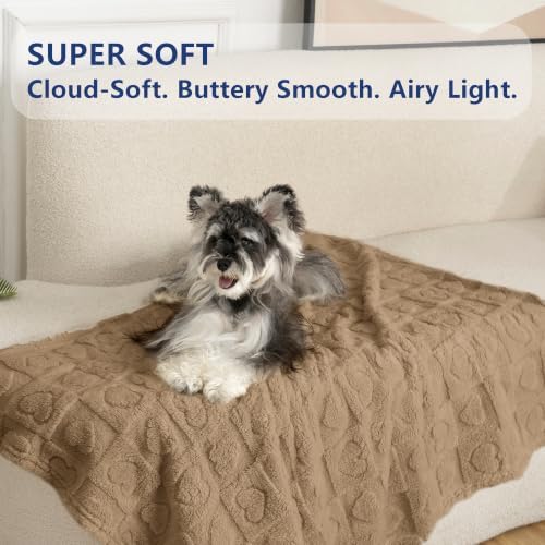 gogobunny Large Pet Blanket for Dogs Cats, Ultra Soft 300GSM Coral Fleece - Image 3