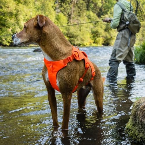 Ruffwear, Web Master Dog Body Harness, Large/X-Large - Image 6