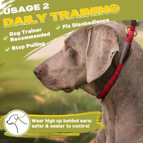 Fida Slip Lead Dog Leash 5 Pack, 6 FT x 1/2" Dog Training Leash - Image 5
