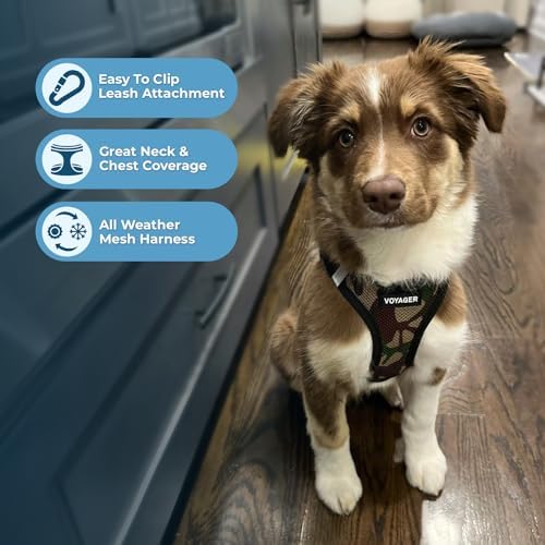 Voyager Step-in Air Dog Vest Harness - Image 2