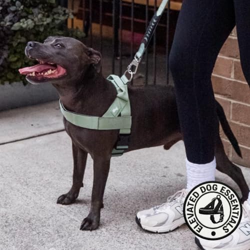 Dog Friendly Co. Dog Harness for Large Dogs, Adjustable - Image 6