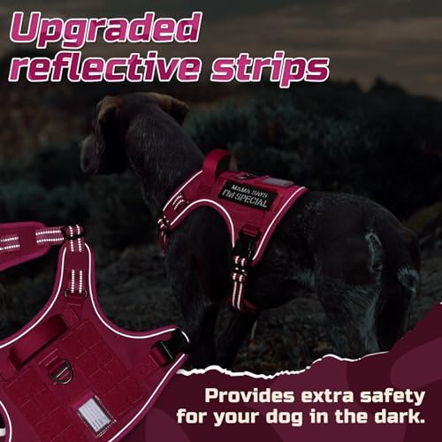 rabbitgoo Tactical Dog Harness for Large, No Pull Military Service Vest - Image 4
