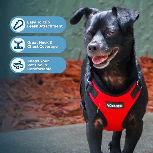 Voyager Step-in Lock Dog Harness - Image 3