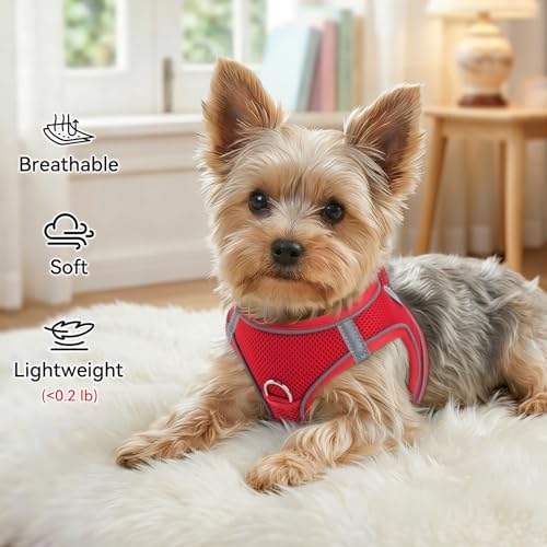 Joytale Step-in Dog Harness, Soft Breathable Mesh - Image 4