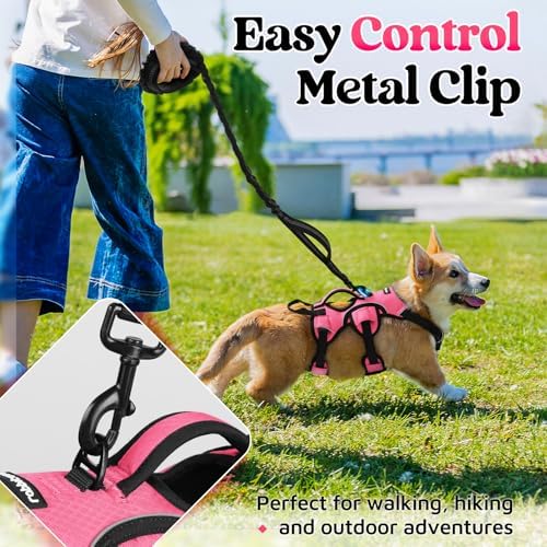 rabbitgoo Escape Proof Dog Harness - Image 5