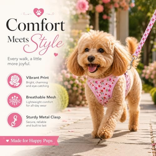 Step in Valentine's Day Dog Harness Leash Set- All Weather Reflective No-Pull - Image 3