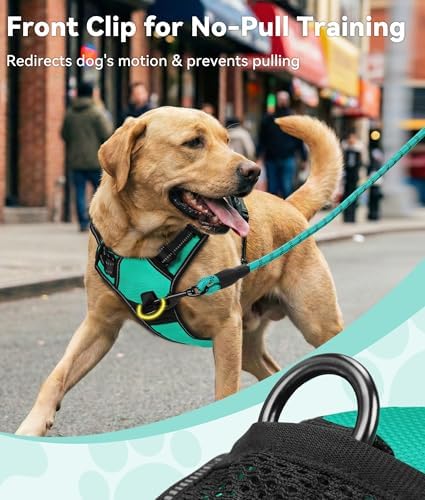 Joytale No Pull Dog Harness for Large Dogs, Front Clip - Image 2