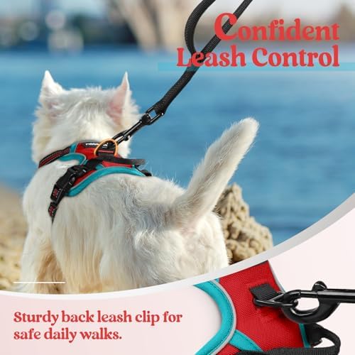 rabbitgoo Dog Harness, No Pull for Small Dogs - Image 6