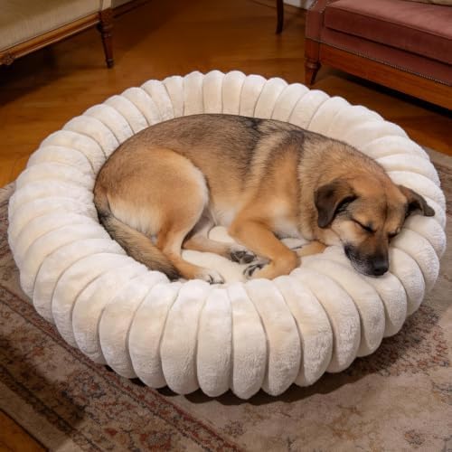 Donut Small Medium Dog Bed Washable Kitty & Puppy Bed, 28ins White by VhenWhen
