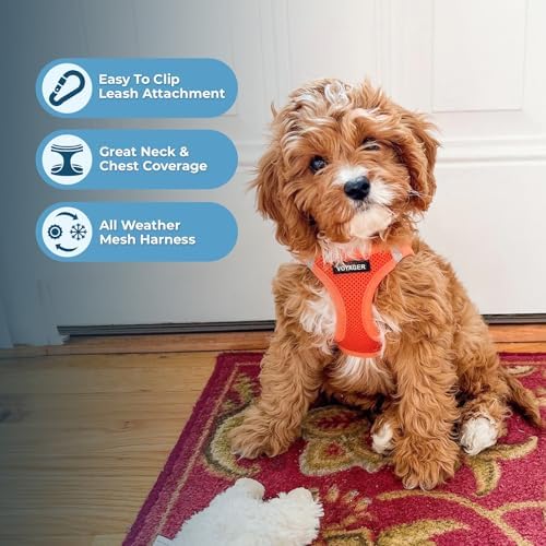Best Pet Supplies Voyager Step-in Air All Weather Mesh Harness and Reflective - Image 6