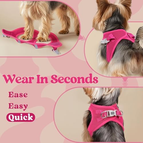 rabbitgoo Step-in Small Dog Harness, Puppy Vest - Image 6
