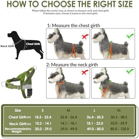 SlowTon No Pull Dog Harness and Leash Set - Image 6