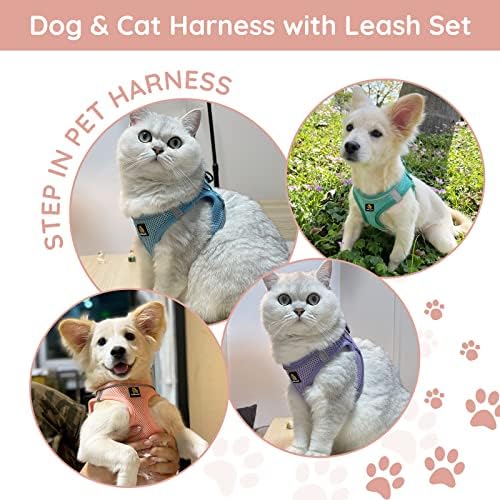 BELLA & PAL Step in Puppy Harness and Leash Set - Image 4