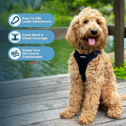 Best Pet Supplies Voyager Adjustable Step-in Flex Breathable Mesh Dog Harness - Image 6