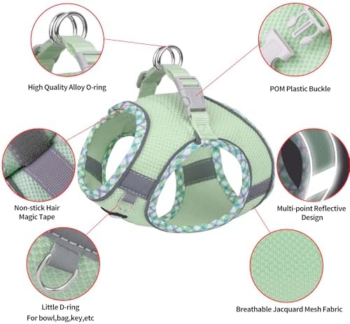 AIITLE Small Dog Harness and Leash Set - Image 6