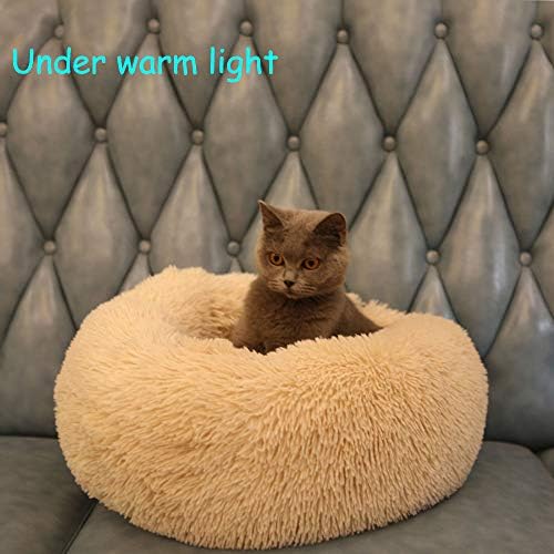 Cat Bed for Indoor Cats, Mini Plush Self Warming Kitten Bed, 20 Inch - Image 5