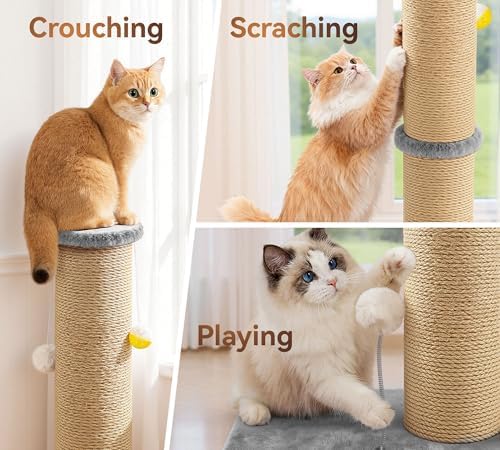 5-Inch Thick Sisal Cat Scratching Post - Image 4