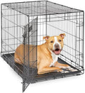 Midwest 36-Inch Single Door iCrate, by MidWestHomesForPets