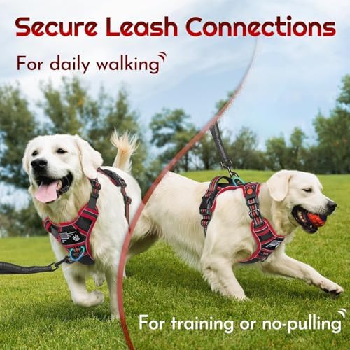 Eagloo Dog Harness No Pull for Medium Dogs, Easy On & Off - Image 4